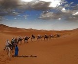 Morocco Day Travel: Camel Trekking Tours. Morocco Day Travel Mhamid 9 N°66 Marrakech 