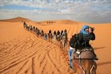 Morocco Day Travel: Camel Trekking. Morocco Day Travel Mhamid 9 N°66 Marrakech 