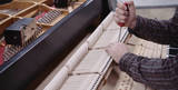 Profile Photos of McLean Piano Tuning by PianoCraft