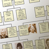A detail of family tree with photos added