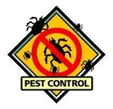 Pest Control Lambeth, 5 Whitgift St, Lambeth, SE11 6AT, 02036160400, http://pestcontrollambeth.com