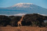 Profile Photos of Kilimanjaro Tanzanite Safaris Co. Ltd
