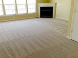  Barney's Eco Clean Carpet Cleaning Seattle 4142 12th Ave NE #301 