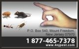 Menus & Prices, NJ Pest Control, Mount Freedom