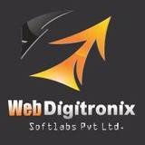 Webdigitronix.com: A Custom Software Company In Lucknow, Lucknow