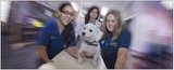 Profile Photos of BluePearl Veterinary Partners - Brentwood
