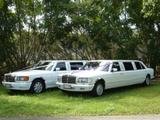 Matching Mercedes 7 Seat Stretch Limousines                               