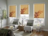 Profile Photos of Blinds To Go Commercial & Residential