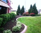 Profile Photos of Olympic Lawn & Landscape, Inc.
