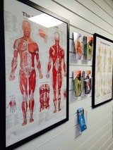  Stratford Osteopathy back pain and Sports Massage Clinic Osbon Pharmacy, 54 The Mall, Stratford Centre 