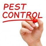 Profile Photos of Eco Advantage Pest Control
