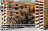 Established in 1985, Woodbridge Pallet has successfully grown its operation to become one of Canada's largest pallet manufacturing and repair facilities. We currently operate two sites within the Greater Toronto Area comprising of a total of 180,000 squar