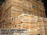 Established in 1985, Woodbridge Pallet has successfully grown its operation to become one of Canada's largest pallet manufacturing and repair facilities. We currently operate two sites within the Greater Toronto Area comprising of a total of 180,000 squar