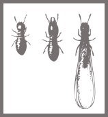 Profile Photos of Connor's Termite & Pest Control