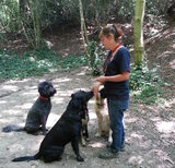 Canine Behaviourist Dionne Worth with dogs in St Leonards-on-Sea, East Sussex