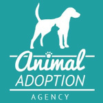 Animal Adoption Agency, Llandilo