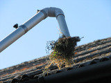 Profile Photos of Gutter Cleaning East Grinstead