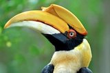 Profile Photos of Vogelpark Avifauna