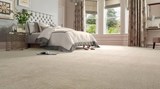 Profile Photos of Safe-Dry® Carpet Cleaning of Greensboro