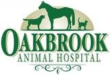 Profile Photos of Oakbrook Animal Hospital