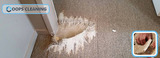  Oops Carpet Repair Brisbane Oops Cleaning 