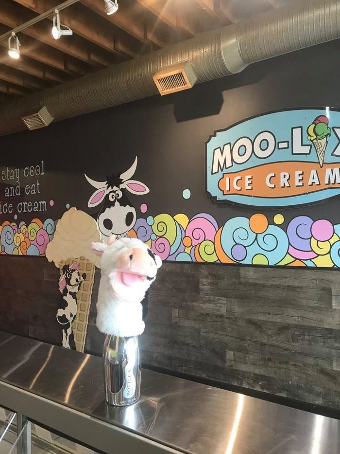  New Album of MOO-LIX Ice Cream Shop 239 Bernard Ave - Photo 1 of 5