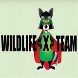 Profile Photos of Wildlife X Team
