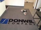 Profile Photos of DONWIL