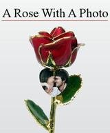 Real Rose Preserved and Trimmed in 24k Gold with an Engraved Photo Heart Charm