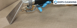 Profile Photos of Upholstery Cleaning Perth