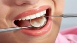 Profile Photos of Bayshore Dentistry