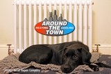 New Album of Around the Town Heating and Cooling