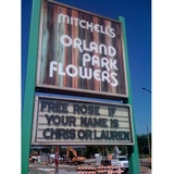 Profile Photos of Mitchell's Orland Park Flowers