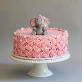 Profile Photos of Our Wide Ranges Of Cakes