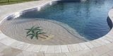 Profile Photos of Pool Doctor of the Palm Beaches