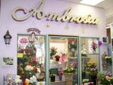  Ambrosia Floral Boutique 1949 W Ray Rd #36 