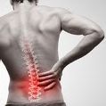 New Album of Herniated Disc In Neck And Back