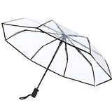Hfbrolly of Hfbrolly