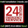 Profile Photos of Mold Remediation Orlando