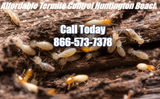  Affordable Termite Control 18694 Applewood Circle 