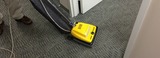 New Album of Carpet Cleaning Wollongong