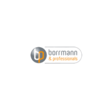Borrmann & Professionals GmbH - Elektrotechnik, Wörrstadt