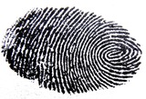 New Album of Tri-State Fingerprinting