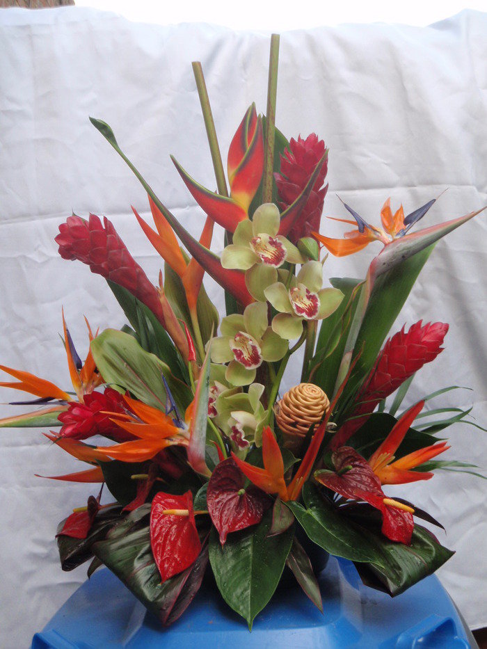 Tropical Arrangement    New Album of Floristry By Lynne Reed Pond Walk - Photo 2 of 3