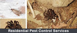 New Album of Pest Control Geelong
