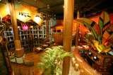  Bongos Cuban Cafe - South Beach, FL 820 Ocean Drive 