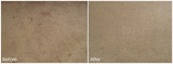 Profile Photos of Carpet cleaning medford oregon