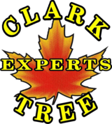  Clark Tree Experts 1450 Level Grove Road 
