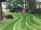 Profile Photos of All Seasons Landscaping