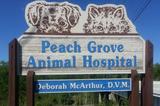 Profile Photos of Peach Grove Animal Hospital